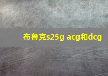 布鲁克s25g acg和dcg